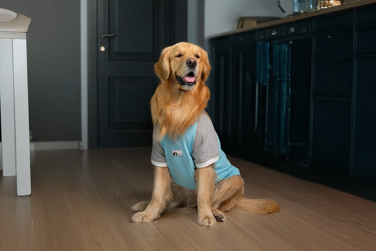 7 Pet Fashion Trends You Need to Know in 2025