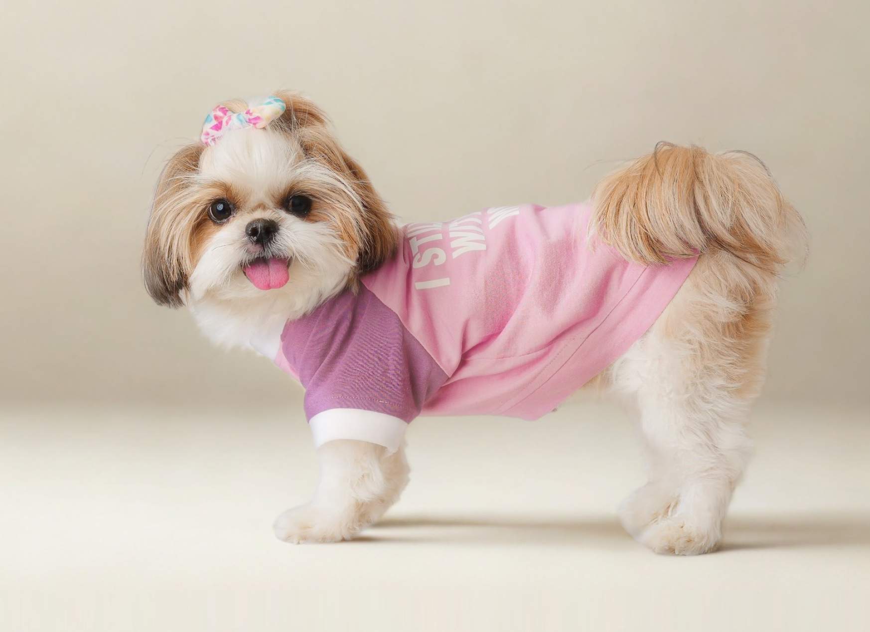 DIY Paw-fect Photo Shoot Ideas with Your Pet