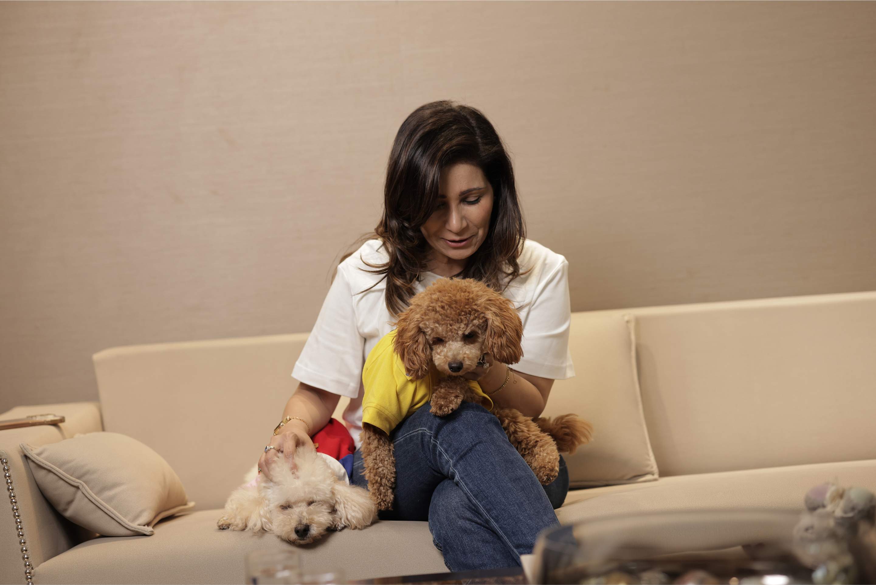 Pet Sizing Guide: How to Measure Your Dog or Cat for the Perfect Fit