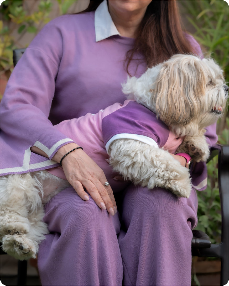 Choose the Perfect Outfit for Your Pet