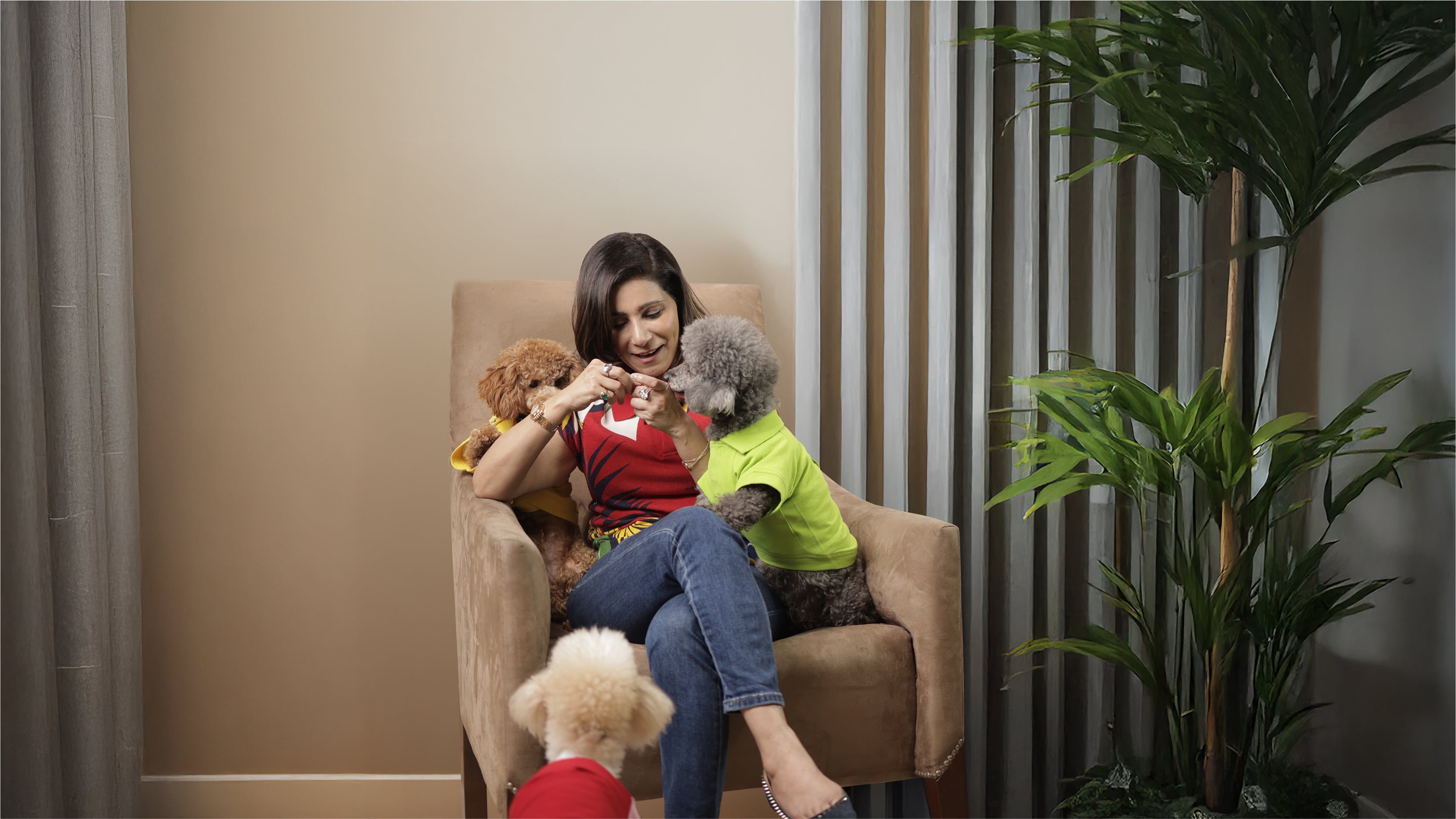 How to Keep Your Pet Stylish Without Sacrificing Comfort