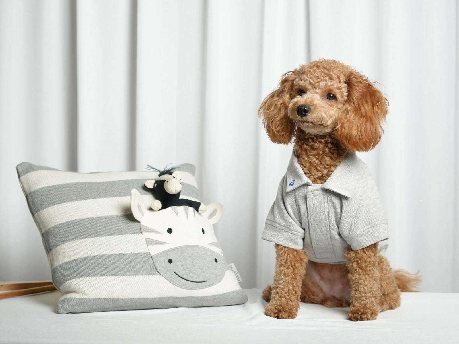 Measure Once, Fit Forever – The Only Pet Sizing Guide You’ll Ever Need