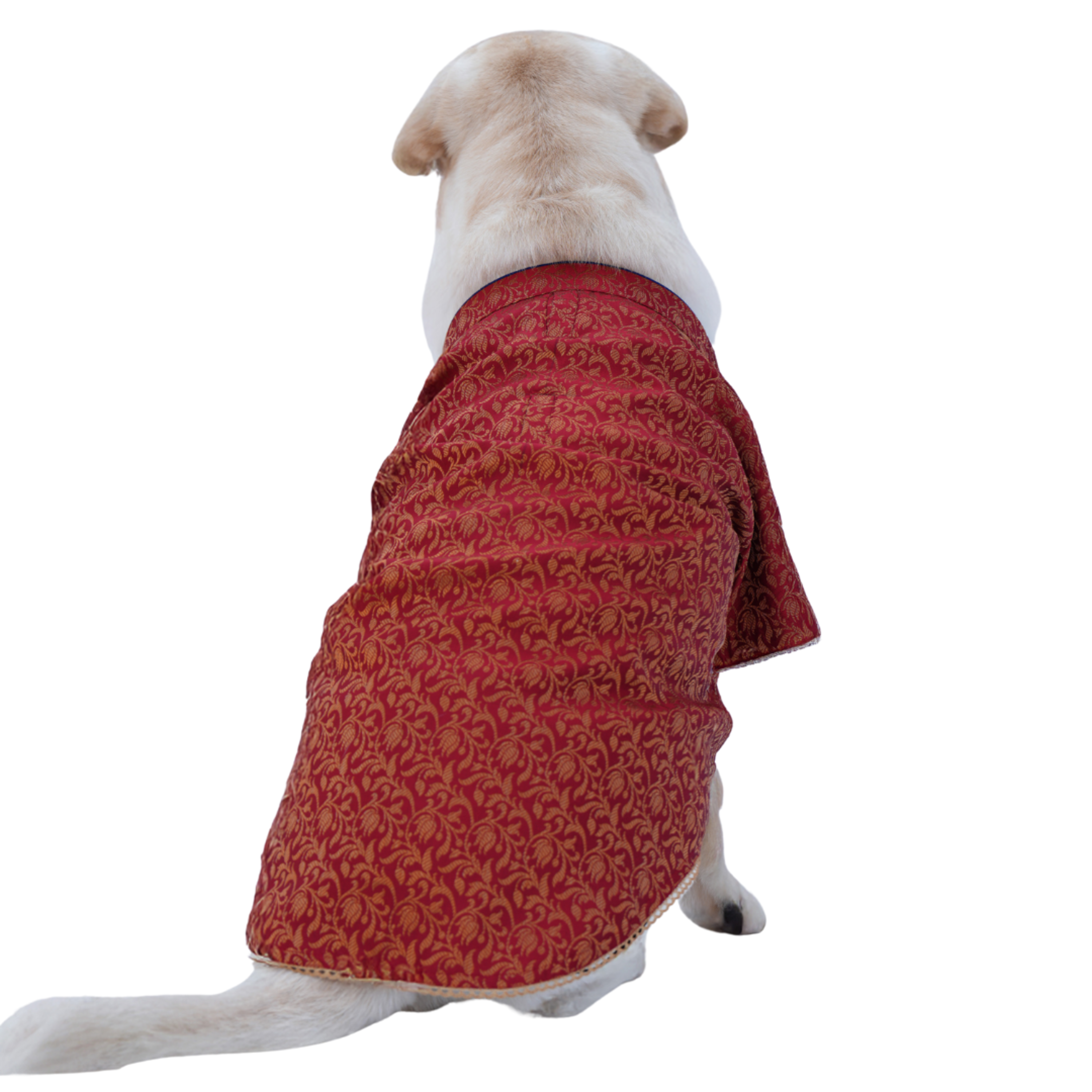 Shadi Red Brocade Sherwani