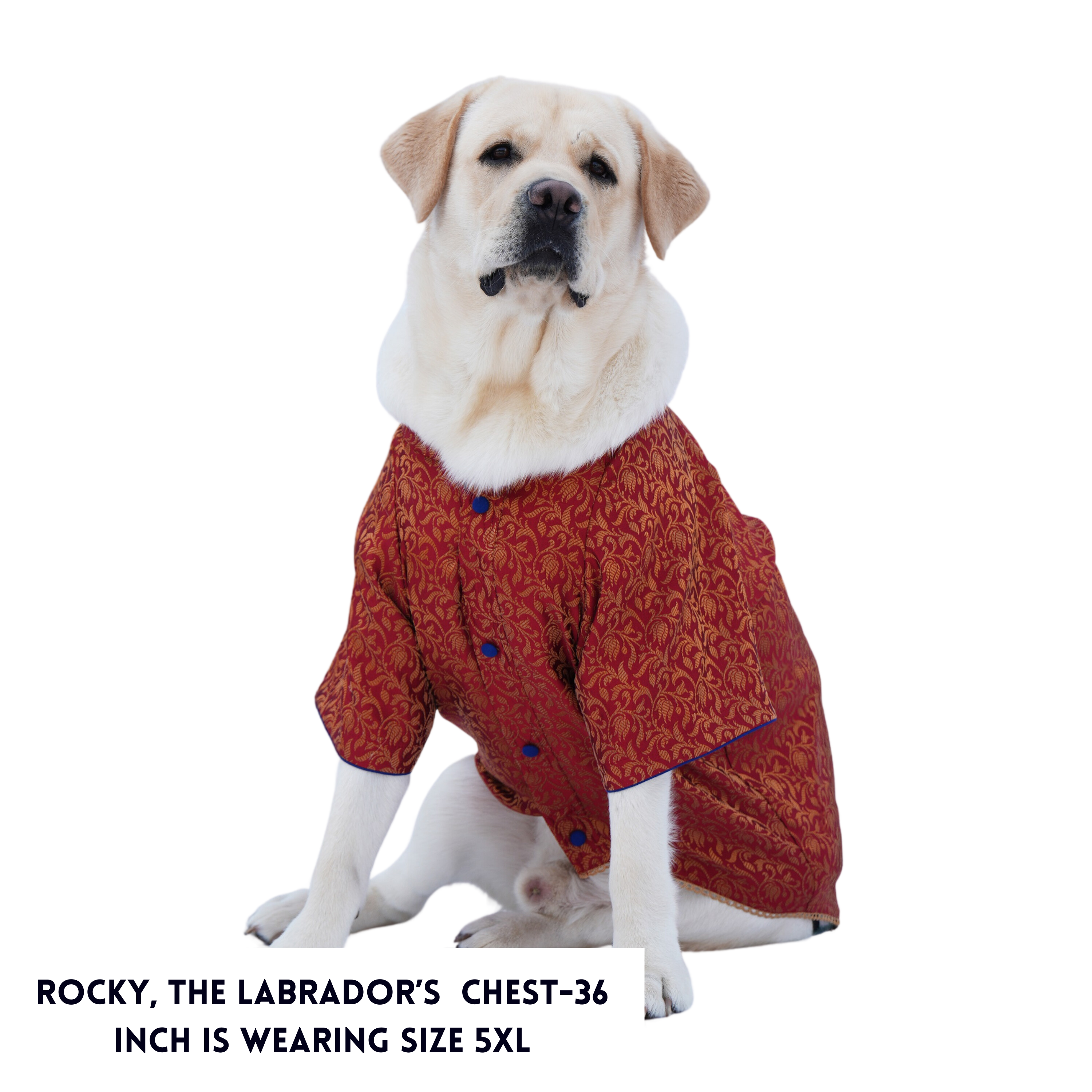 Shadi Red Brocade Sherwani