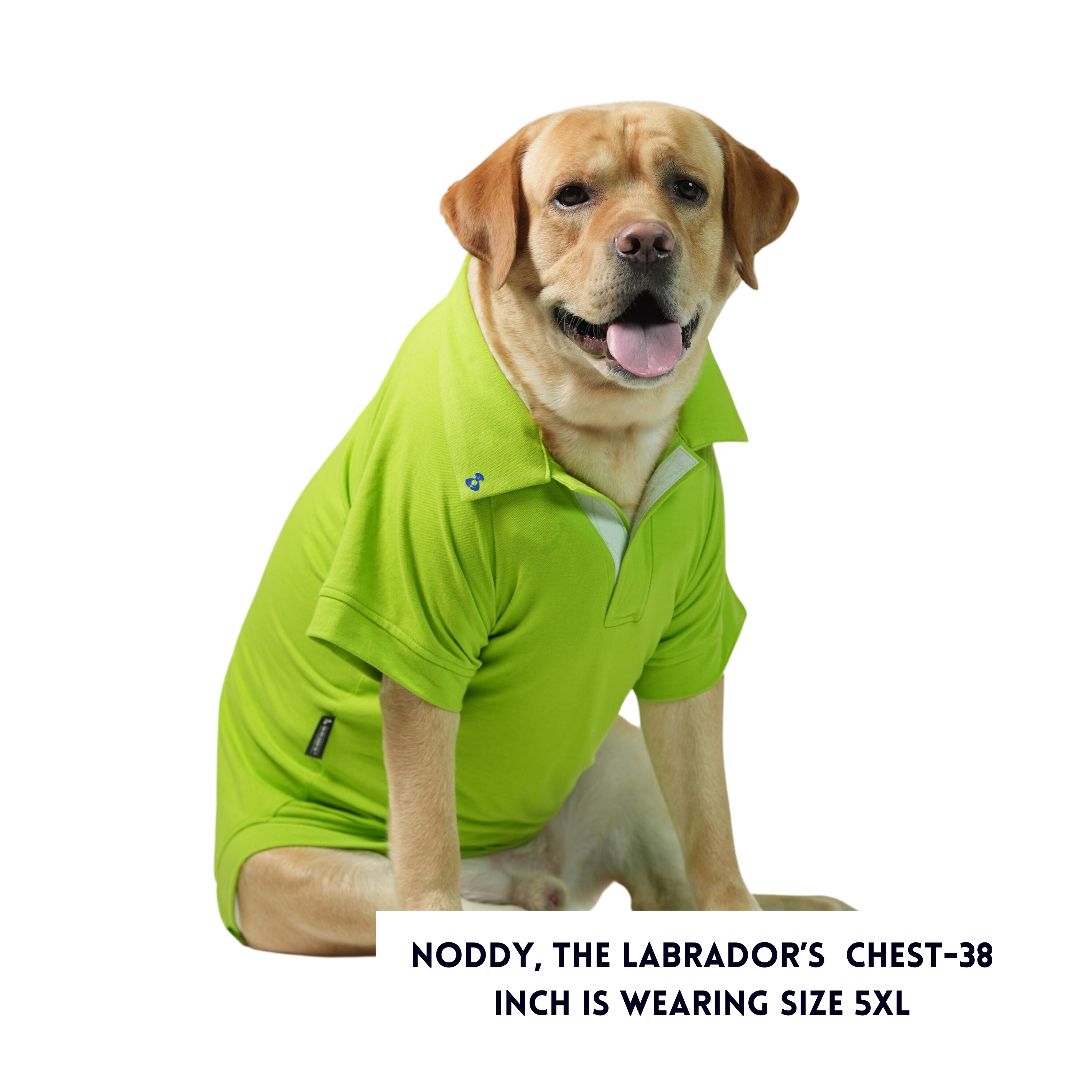 POLO T-Shirt - Not So Basic Lime