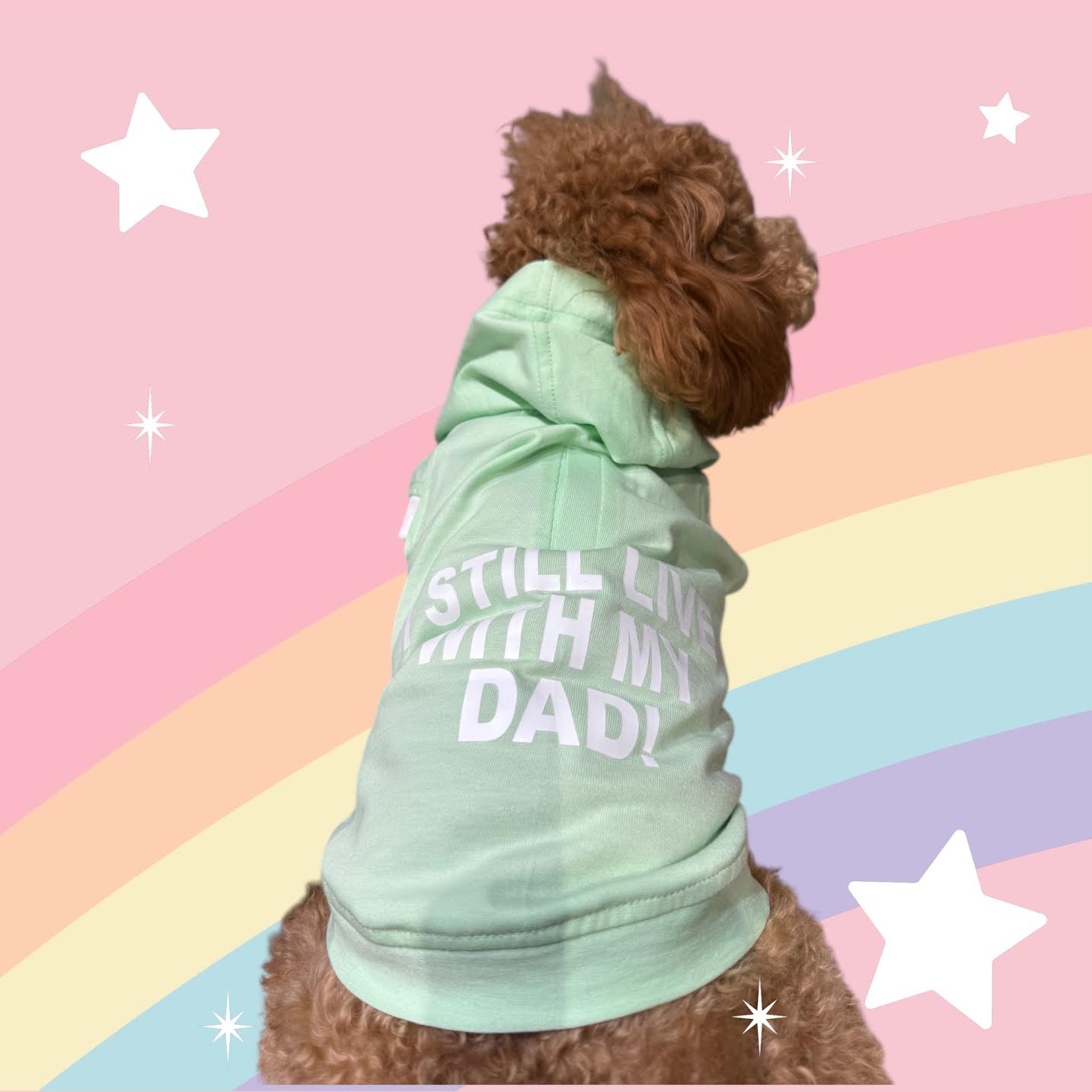 I Still Live With My DAD- Ocean Green Hoodie