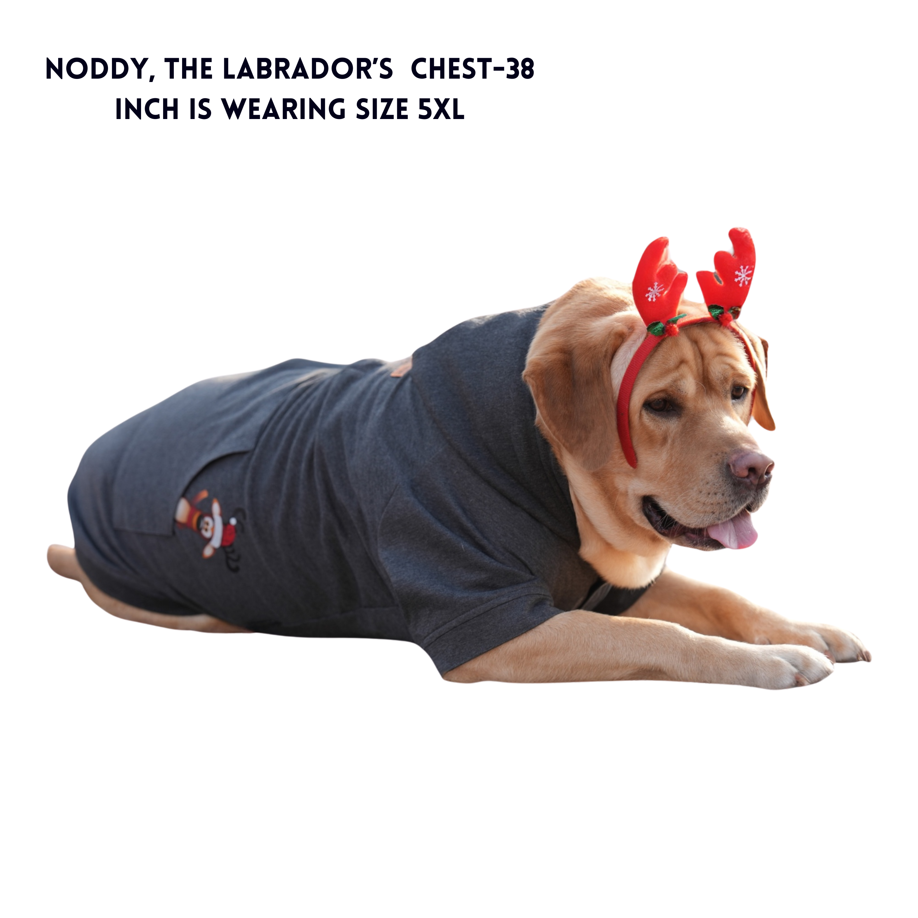 Reindeer In My Pocket Hoodie