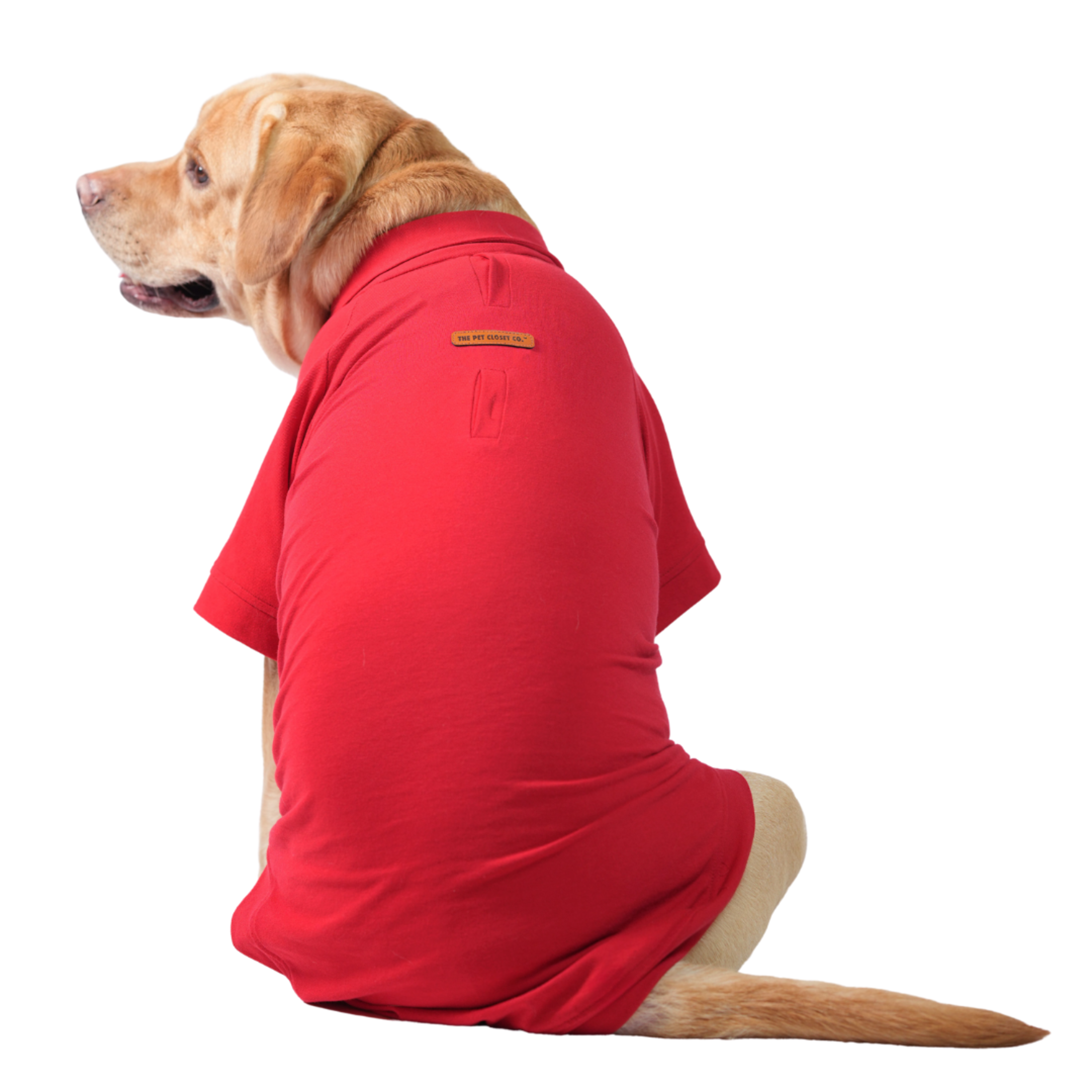 POLO T-Shirt -Not So Basic Red