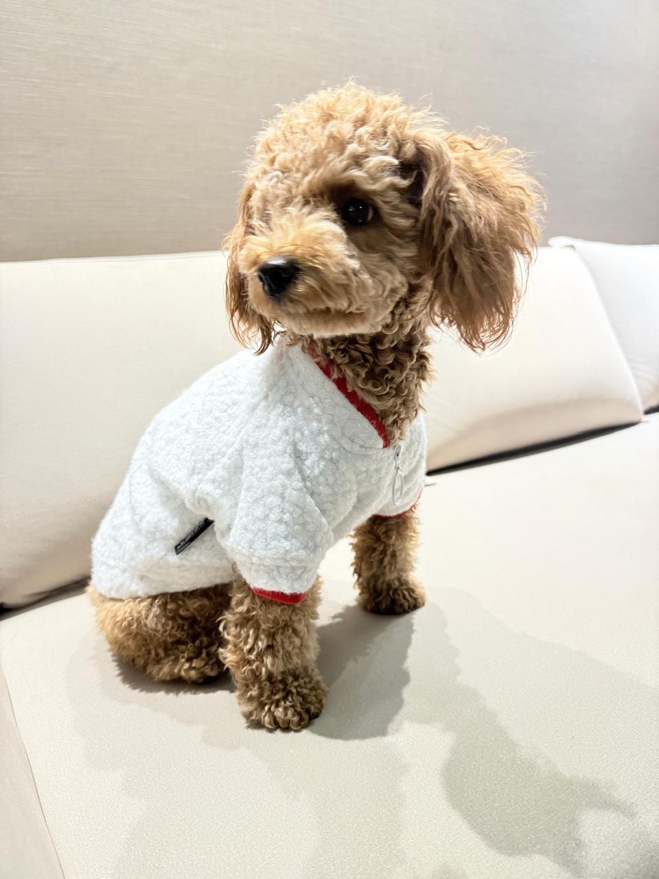 Sporty Happy Zipper- White Fleece