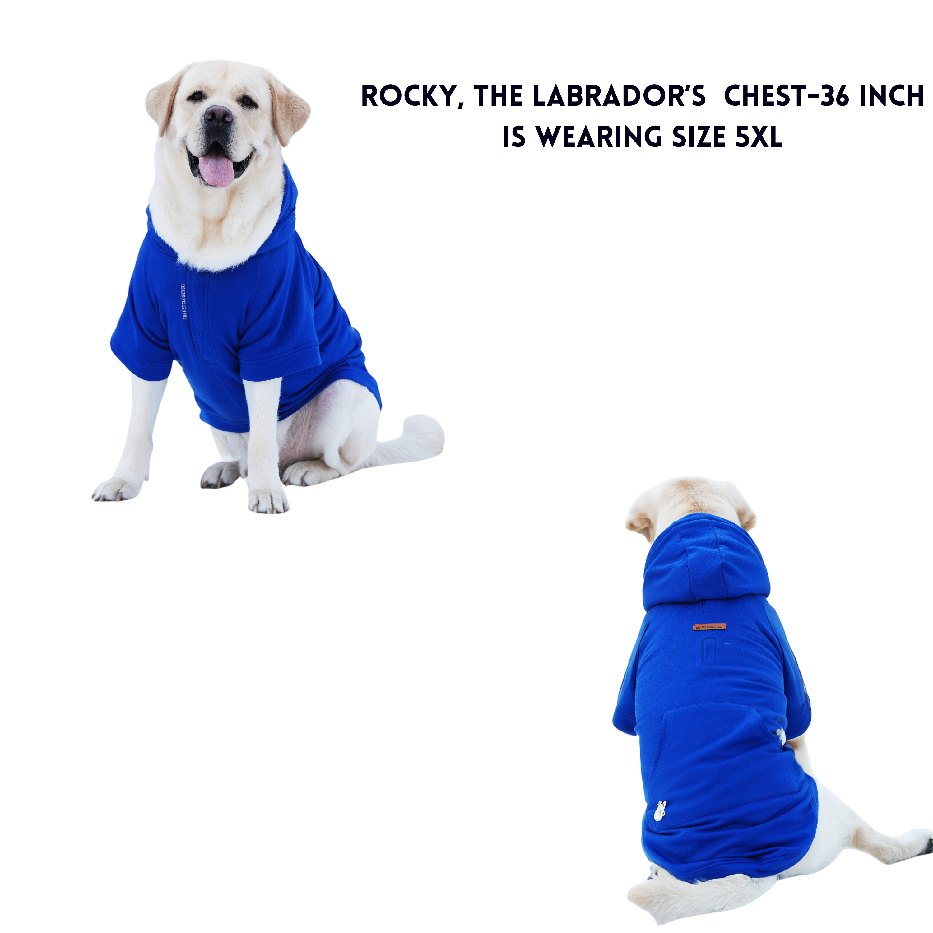 Reindeer In My Pocket Hoodie