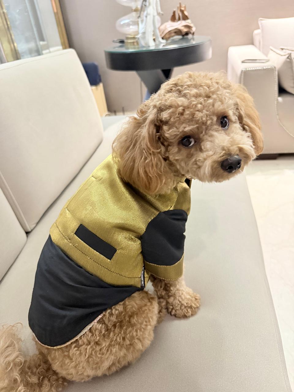 Feel Rich Brocade Waistcoat Kurta- Black Gold