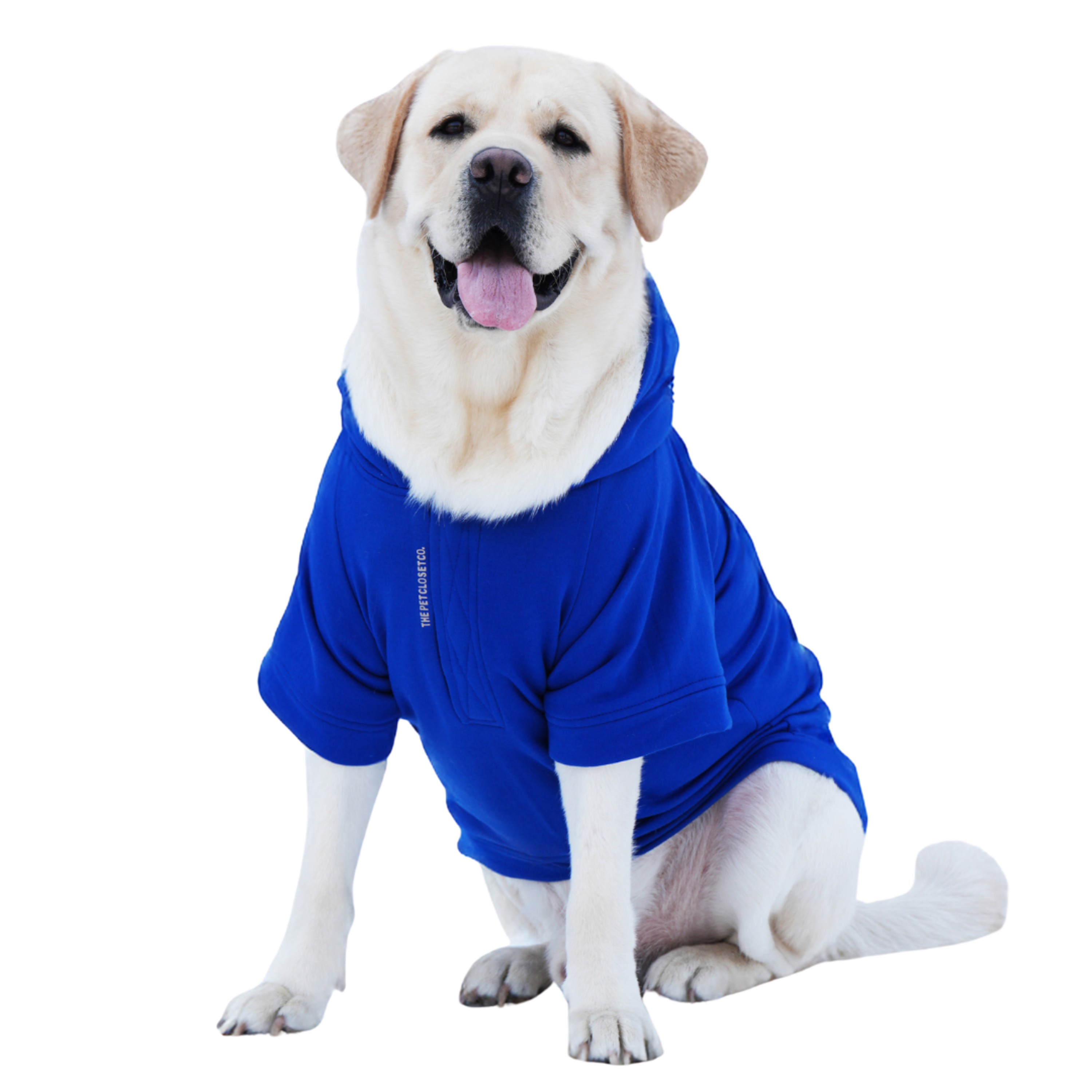 Reindeer In My Pocket Hoodie