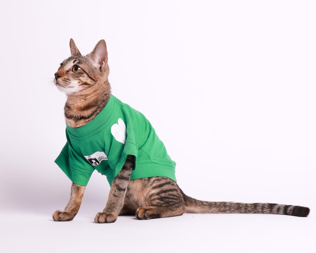 Heart On My Sleeve Emerald T-Shirt