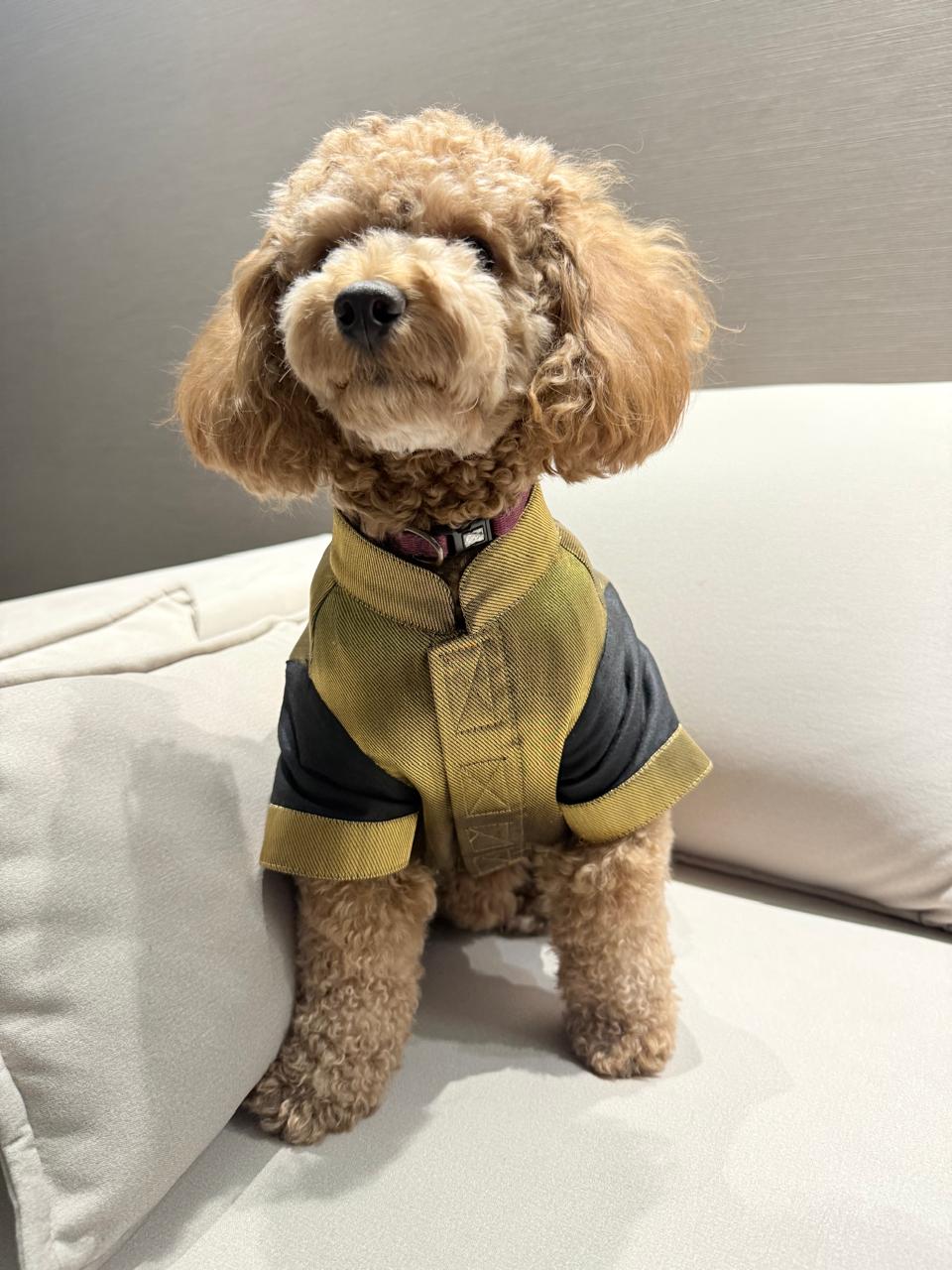 Feel Rich Brocade Waistcoat Kurta- Black Gold