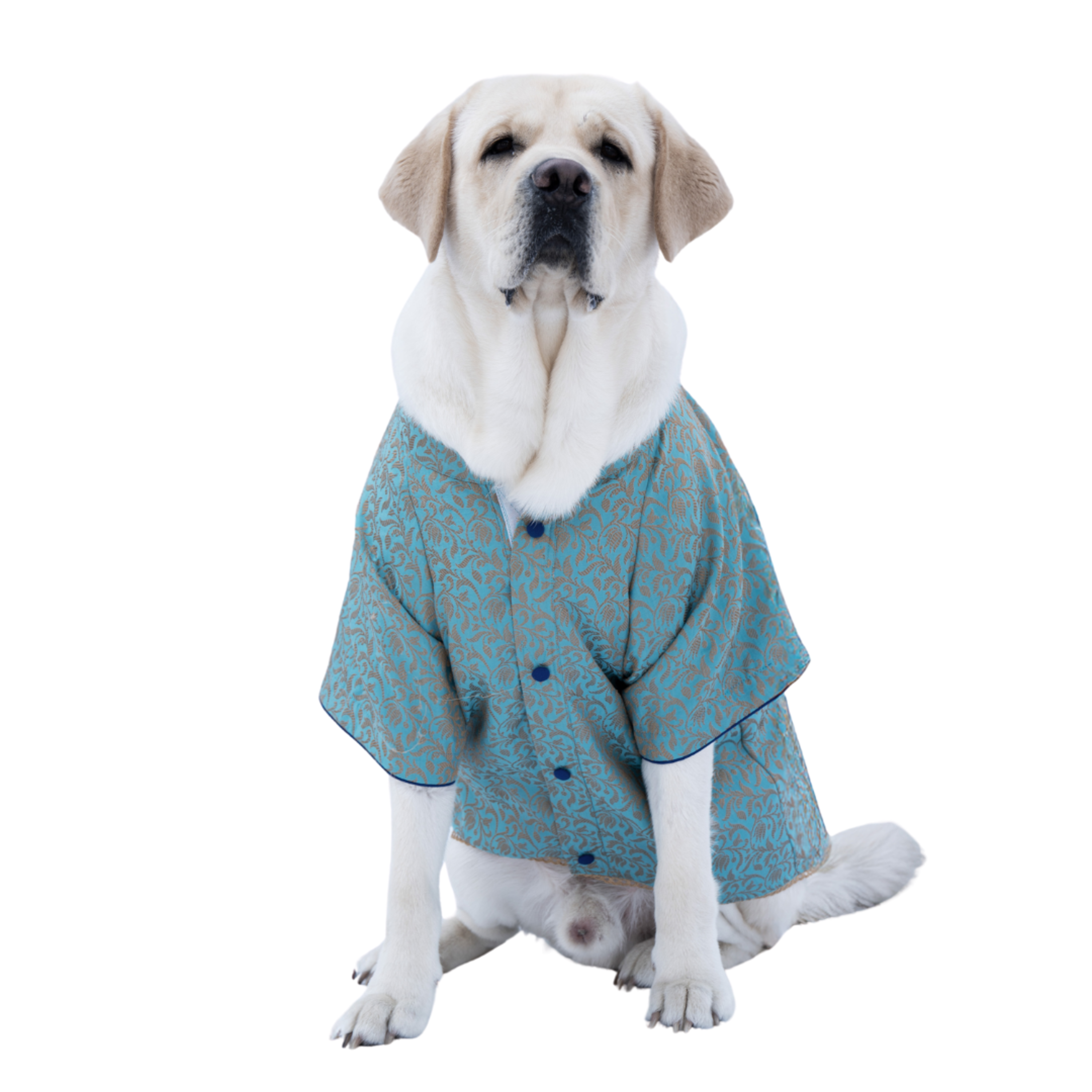 Coctail Blue Silk Brocade Sherwani