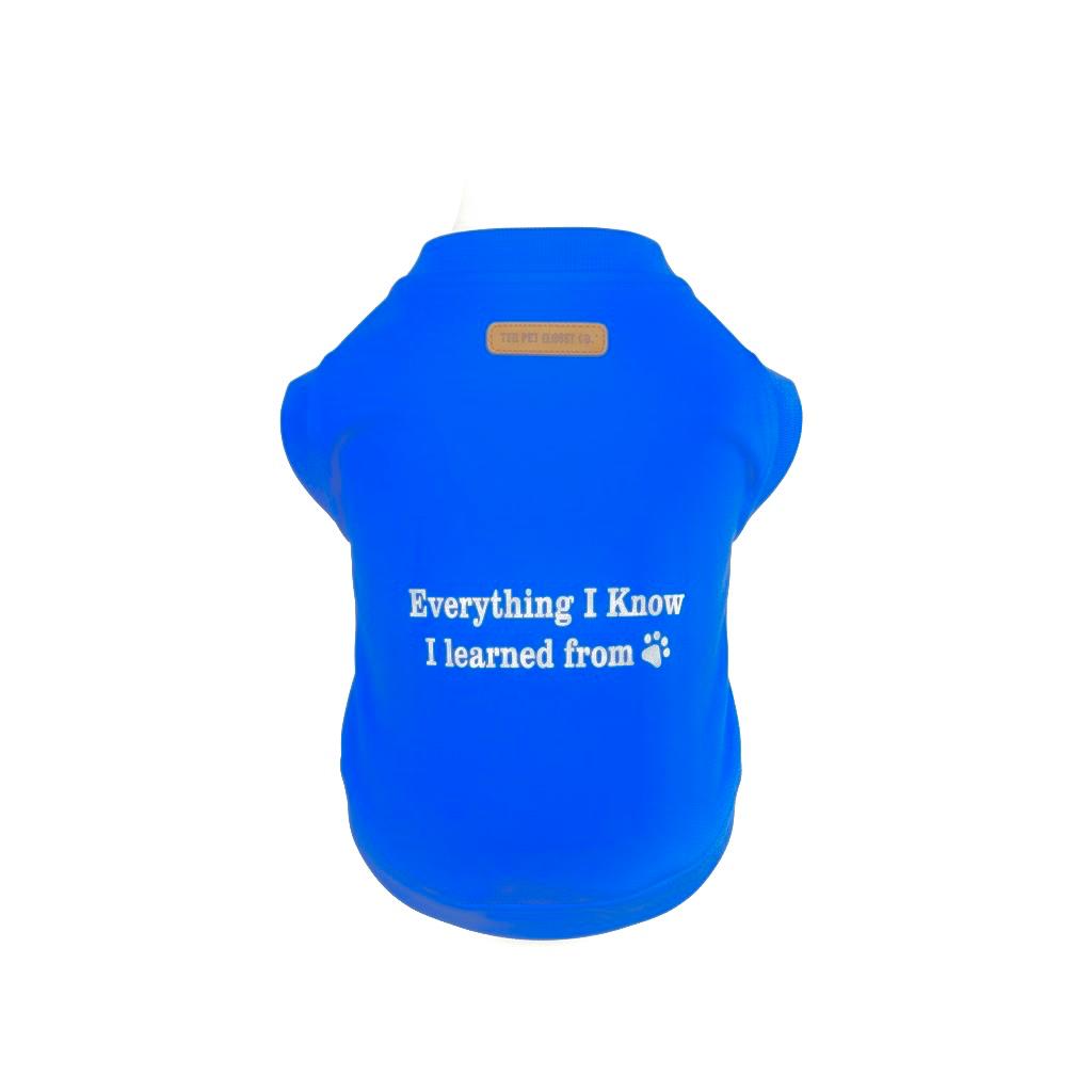 Know All- Blue Sweatshirt