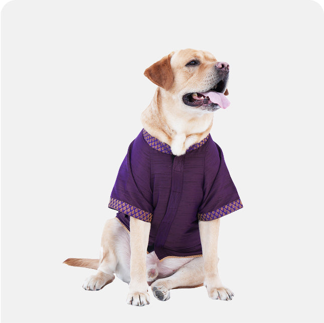 Deep Purple Dupon Silk Kurta