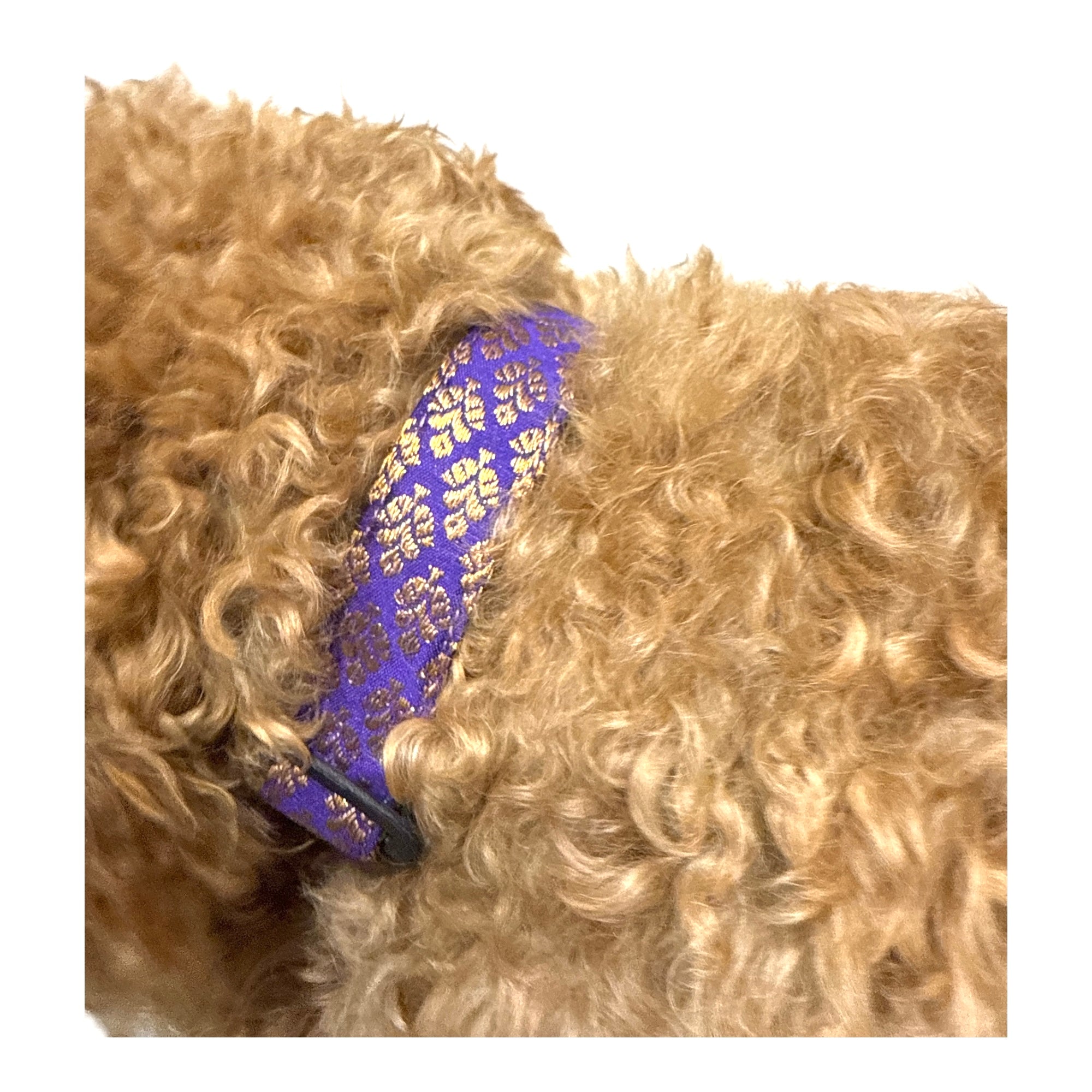 Coctail Purple Brocade Leash n Collar Set