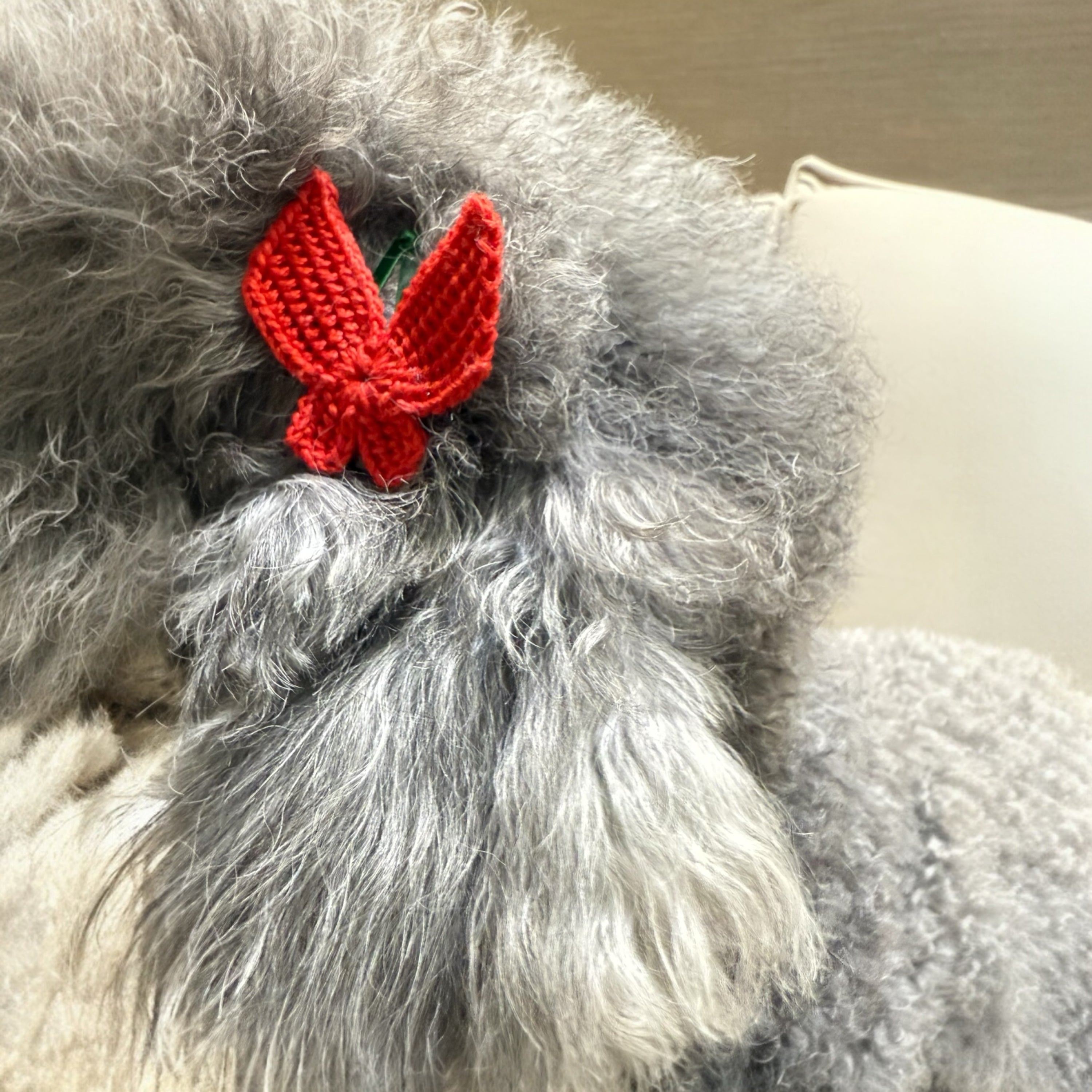 Butterfly In My Hair