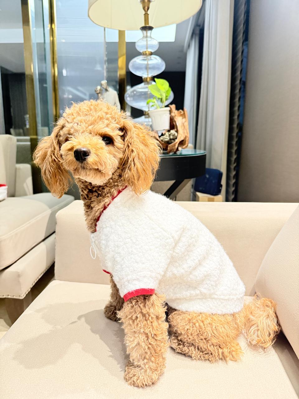 Sporty Happy Zipper- White Fleece