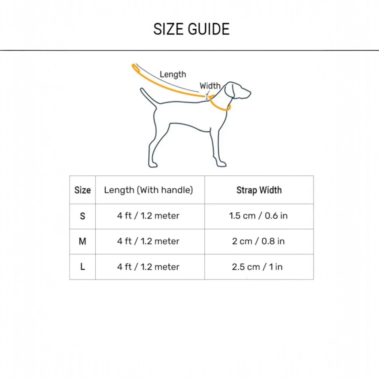 Yellow Gold lace Leash n Collar Set