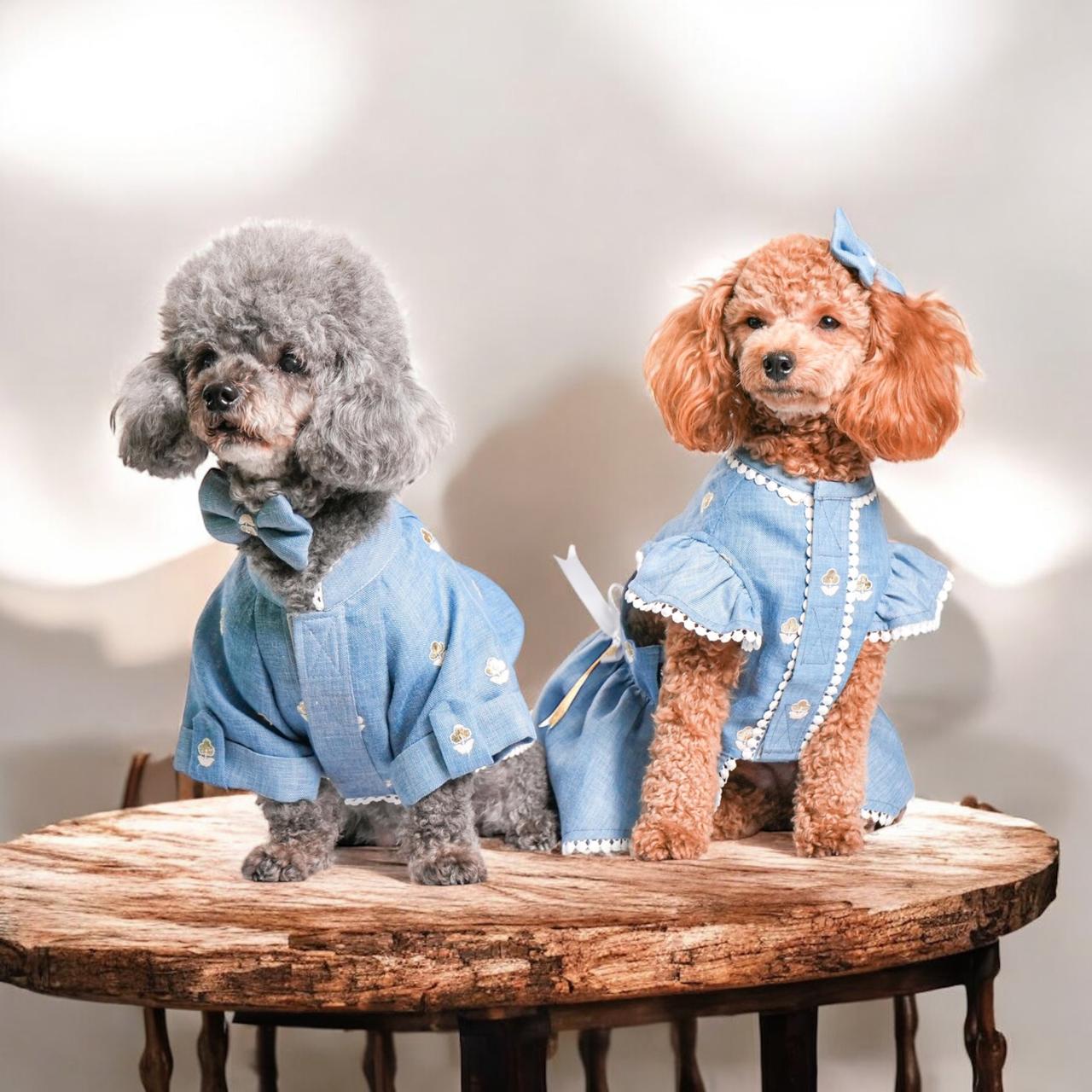 Lacy Linen Gota Paws- Aqua Frock