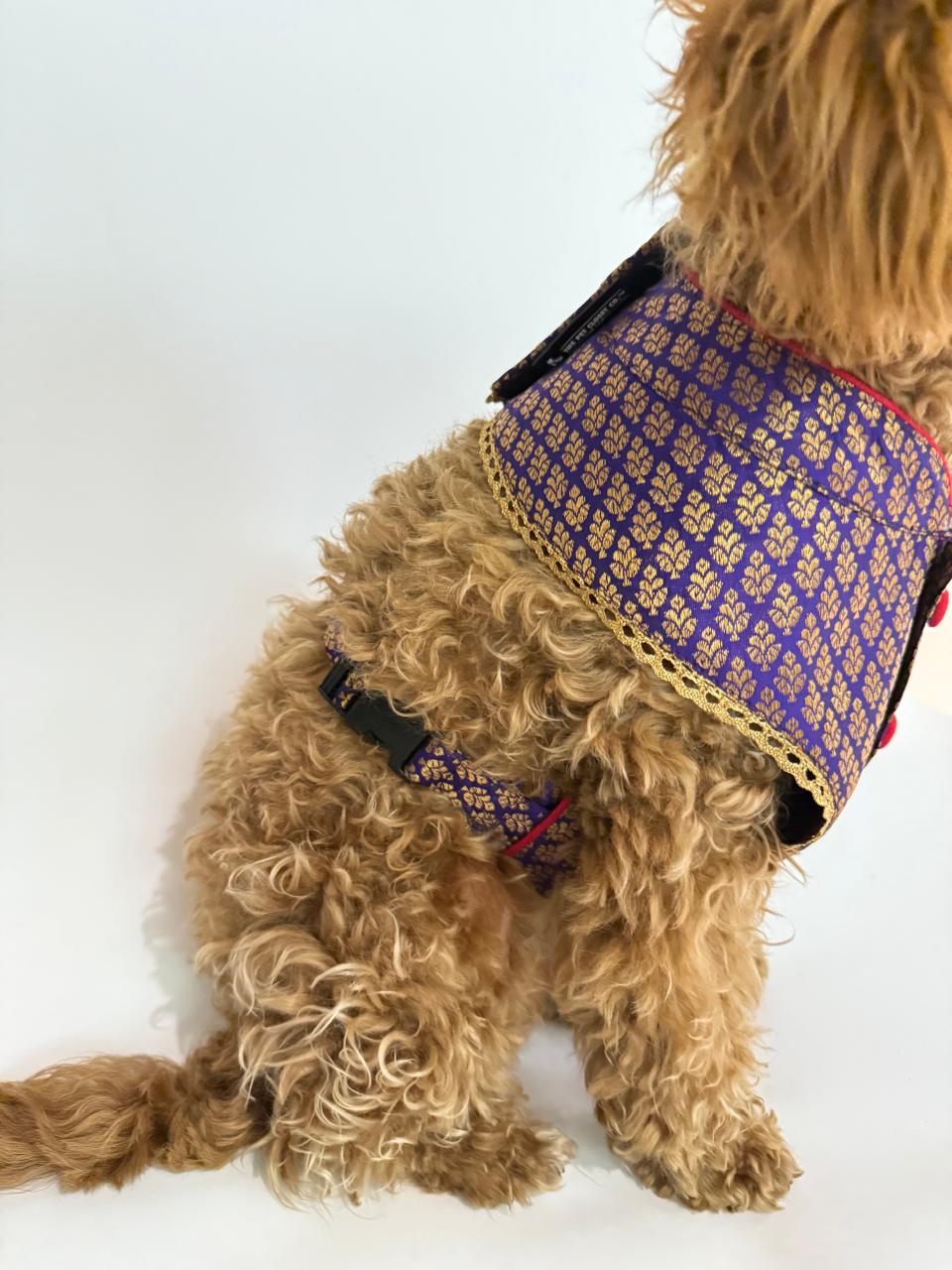 Cocktail Purple Brocade Harness with Leash