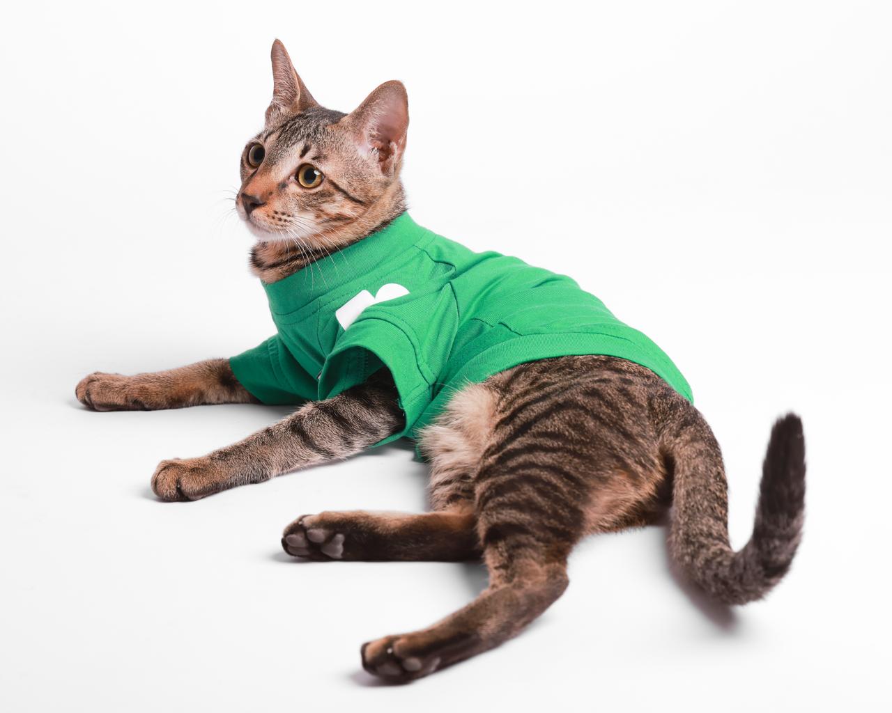 Heart On My Sleeve Emerald T-Shirt