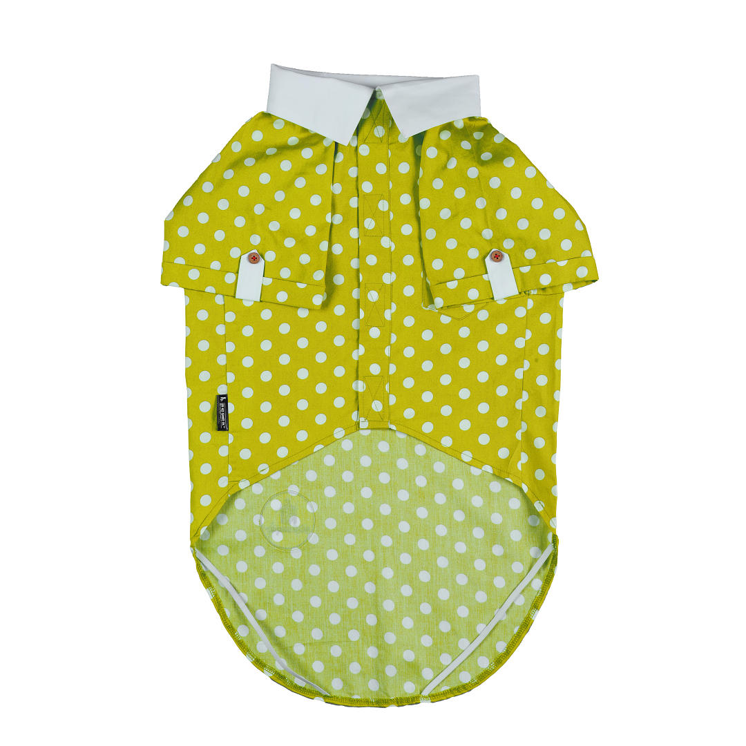 Polka Dot Shirt