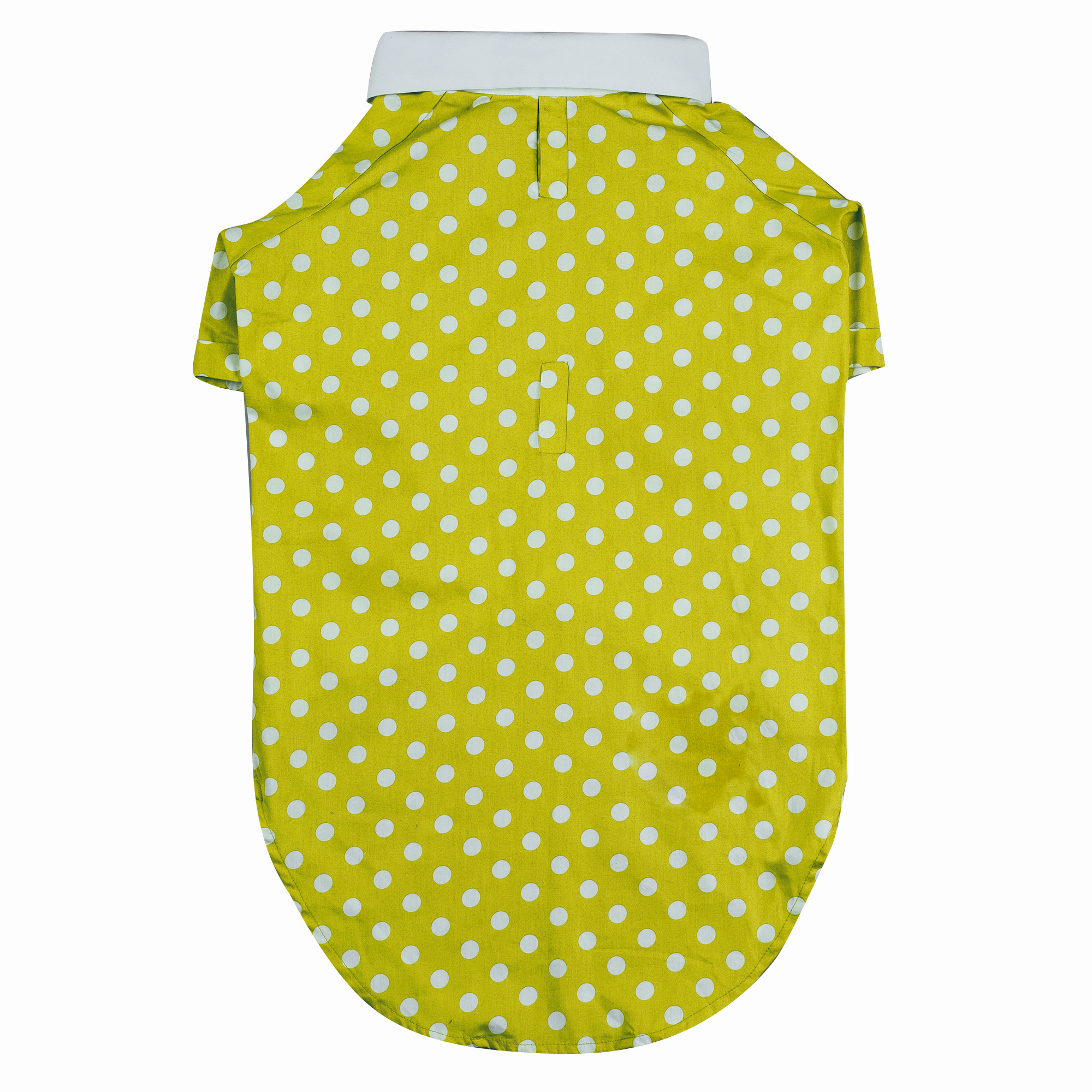 Polka Dot Shirt