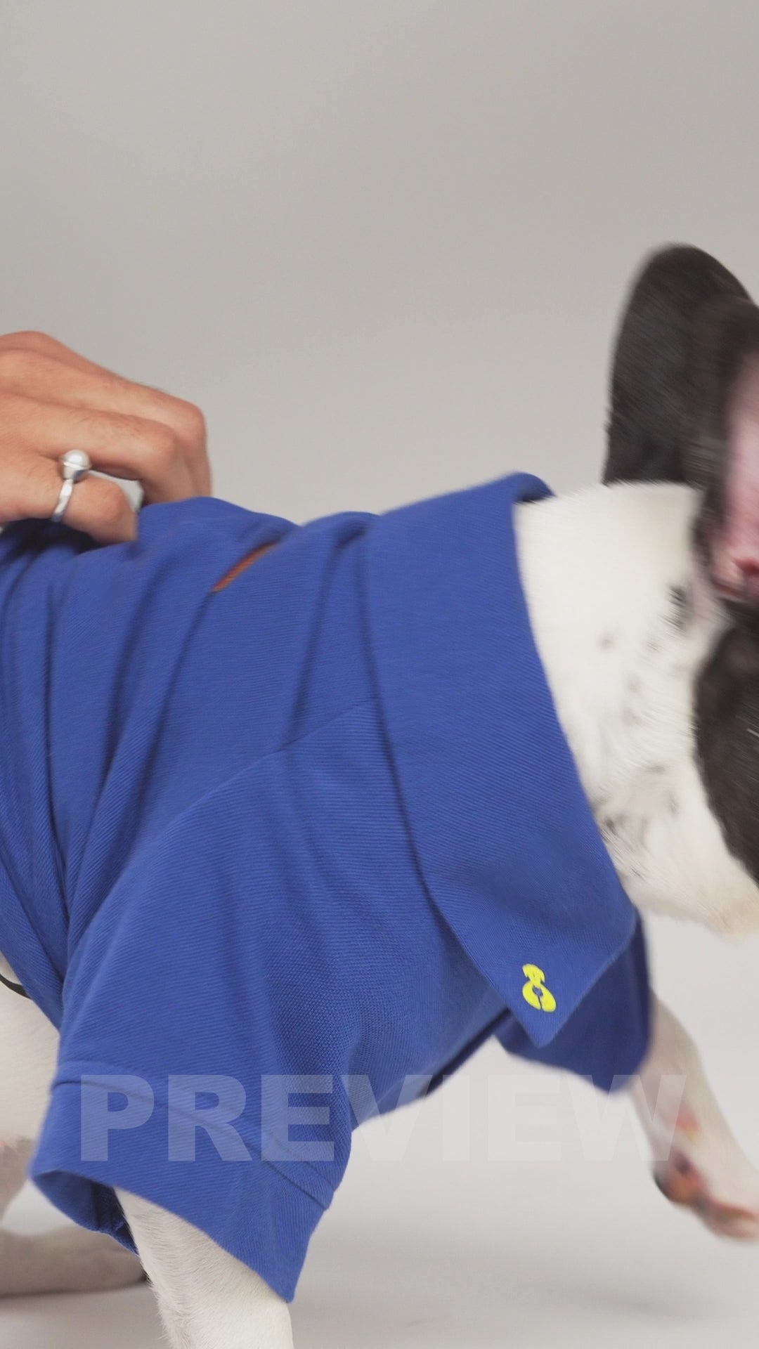 POLO T-Shirt- Not So Basic Royal Blue