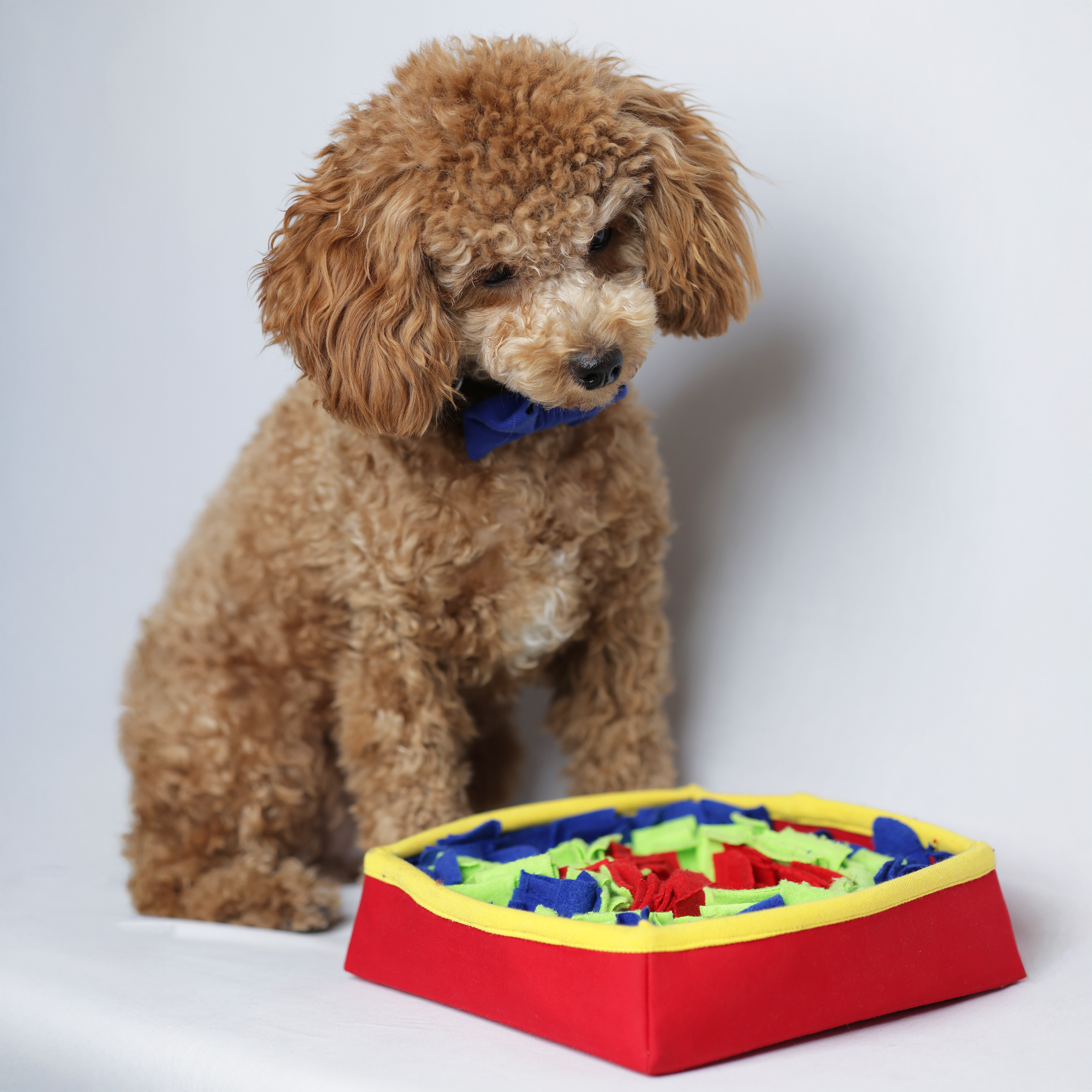 Bubble Gum Snuffle Box