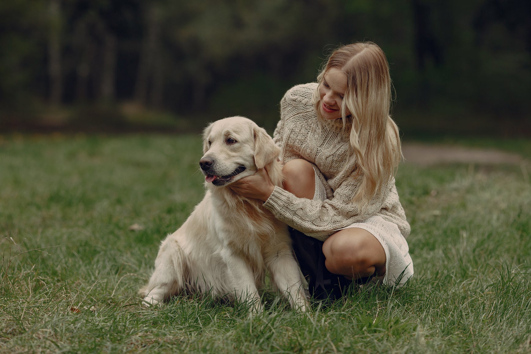 The Role of Accessories in Strengthening the Pet-Owner Bond