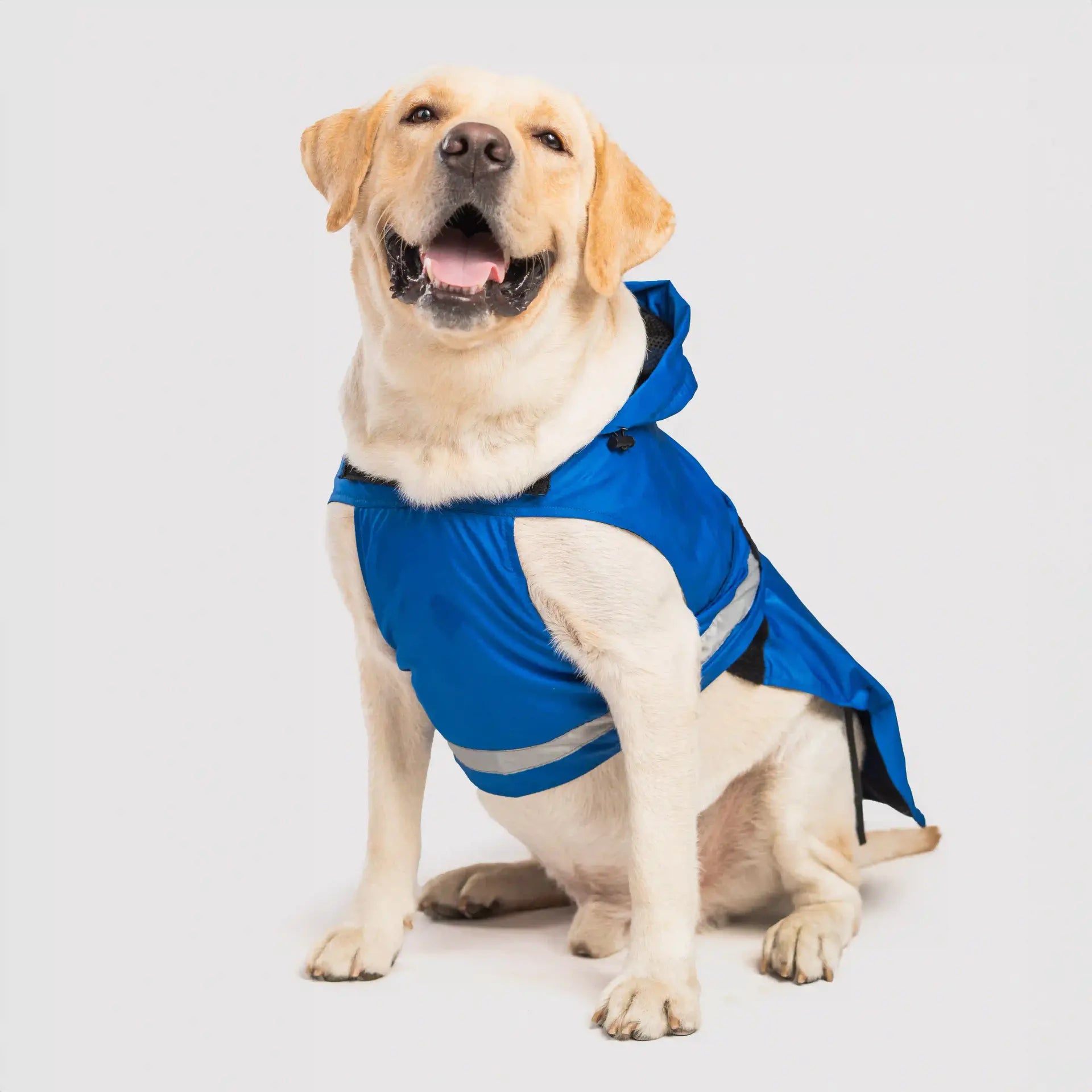 Raincoat