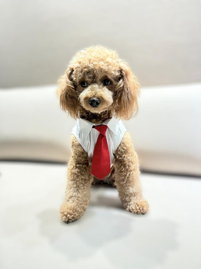 Happy Times Ginger Pin-Stripes