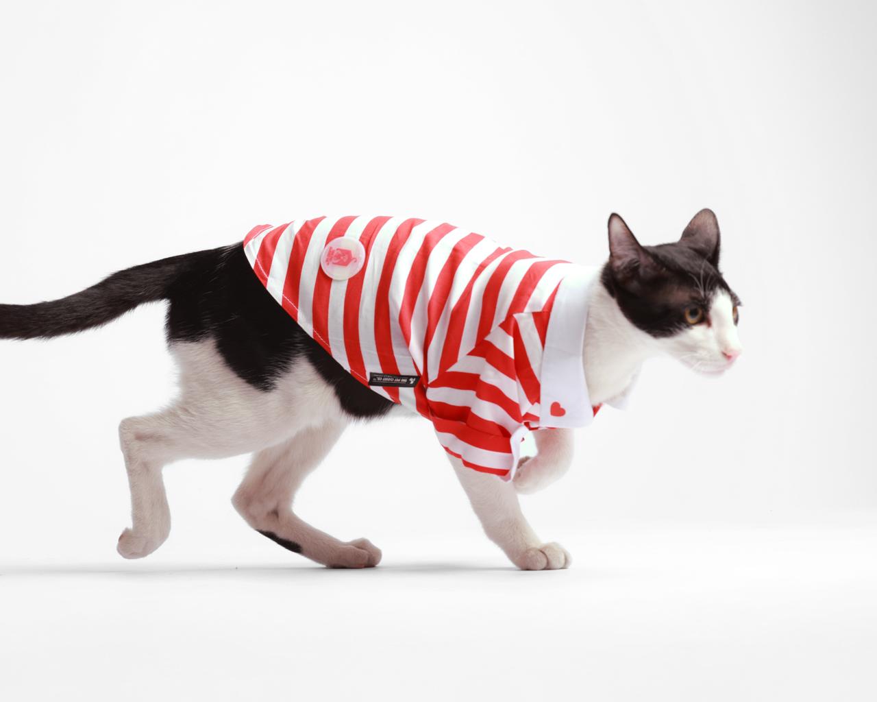 Sailor Dog  Shirt-Red