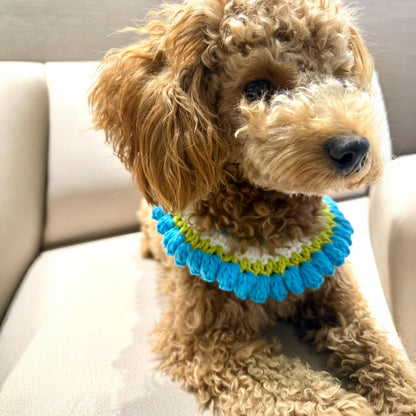 Blue Rose Buds- Crochet Dog Collar