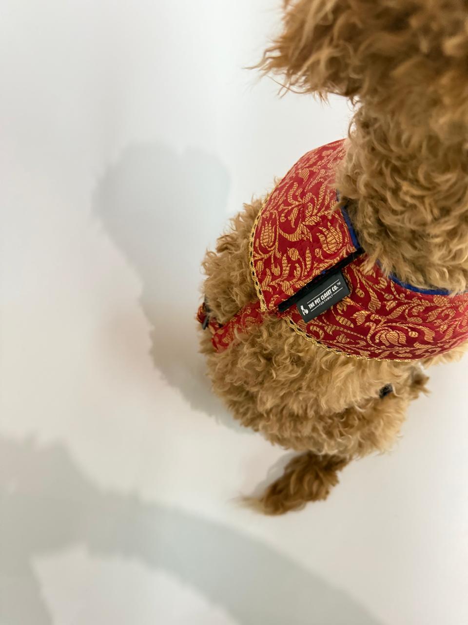 Wedding Red Brocade Harness with Leash
