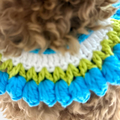 Blue Rose Buds- Crochet Dog Collar