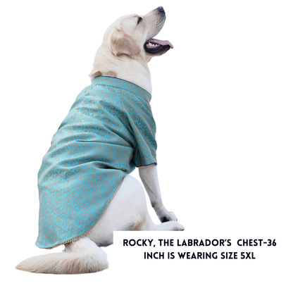 Coctail Blue Silk Brocade Sherwani