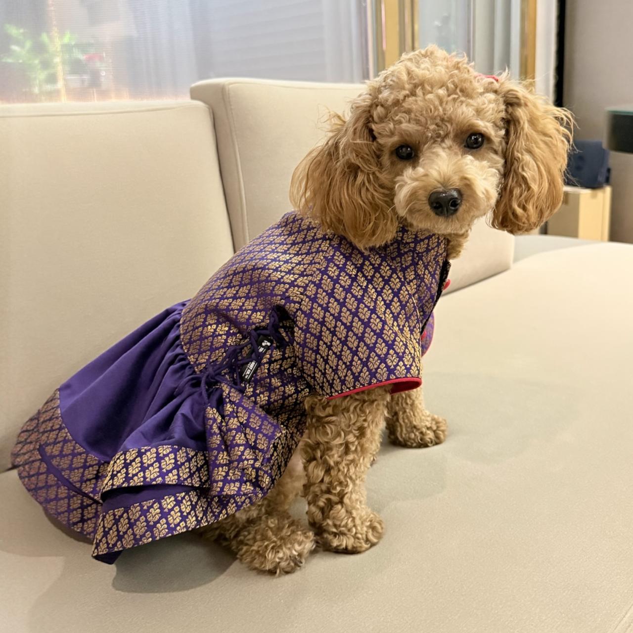Snoopy Frock in Brocade- Purple Amethyst