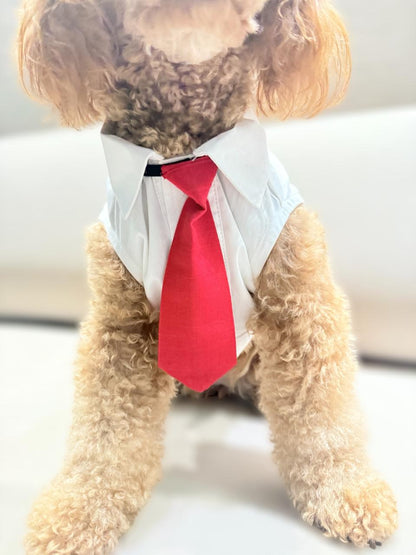 Happy Times Ginger Pin-Stripes