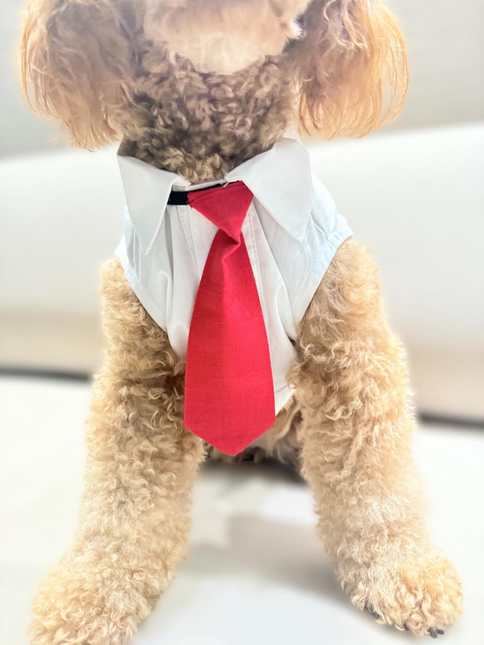 Happy Times Ginger Pin-Stripes