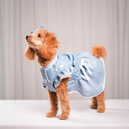 Lacy Linen Gota Paws- Aqua Frock
