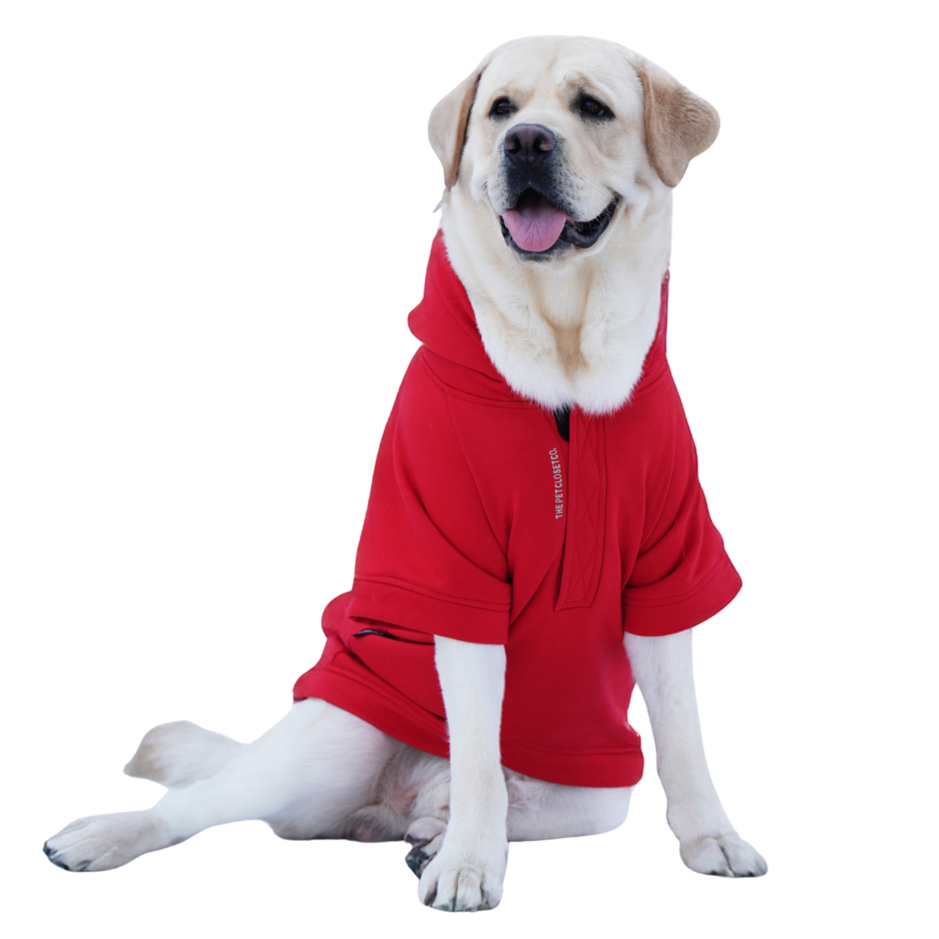 Reindeer In My Pocket Hoodie