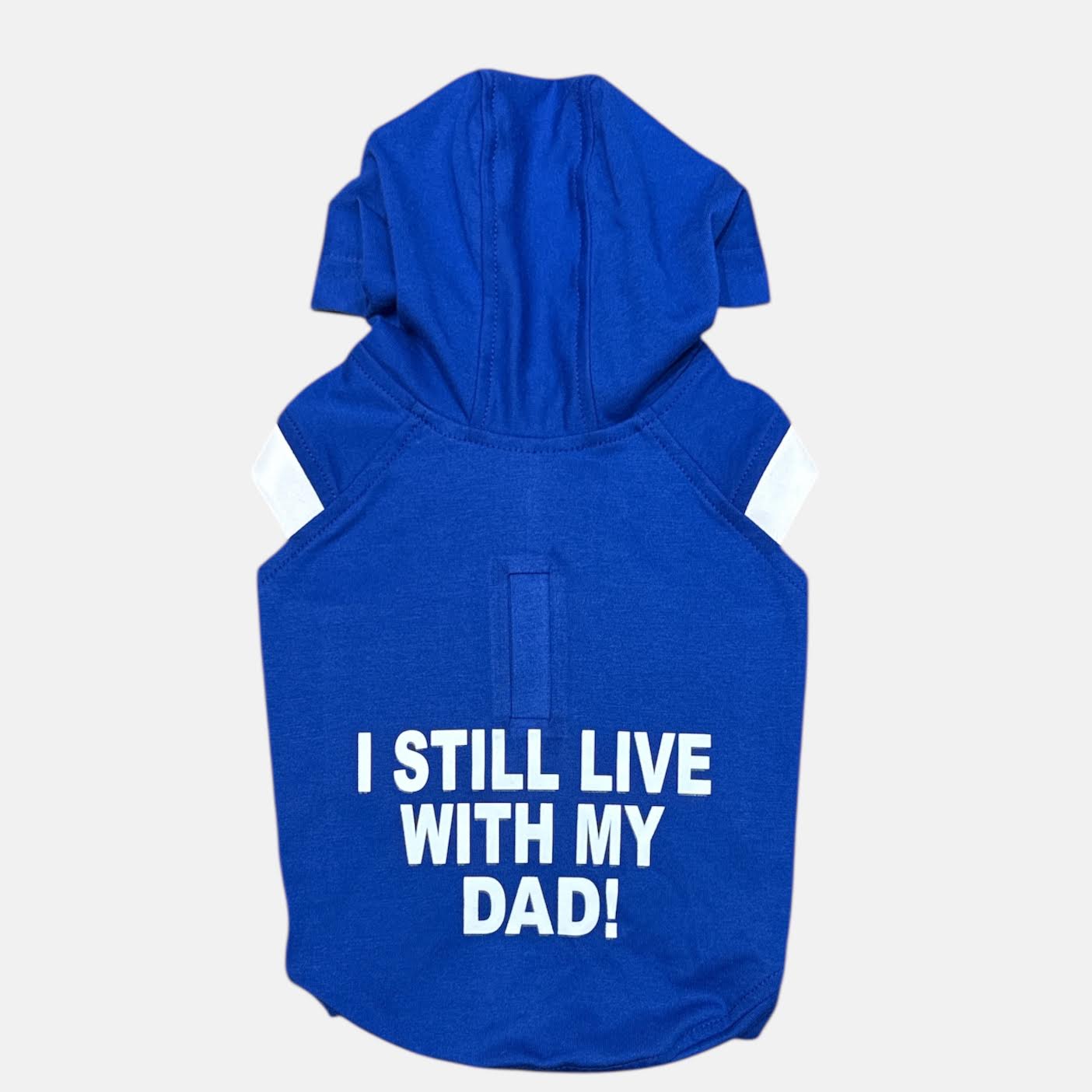 I Still Live With My DAD- Electric Blue Hoodie