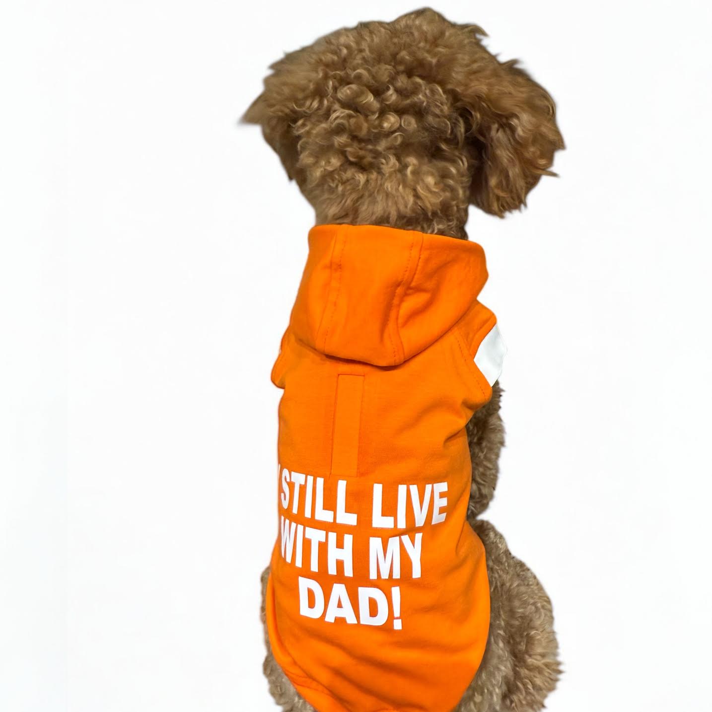 I Still Live With My DAD - Sunset Orange Hoodie
