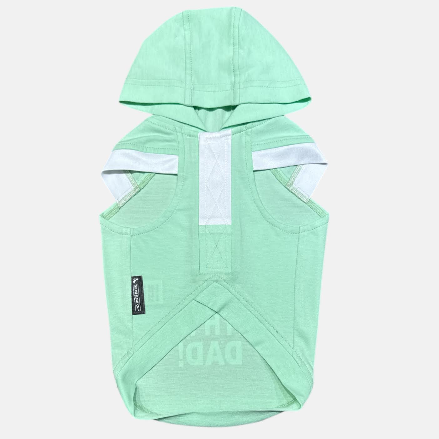 I Still Live With My DAD- Ocean Green Hoodie