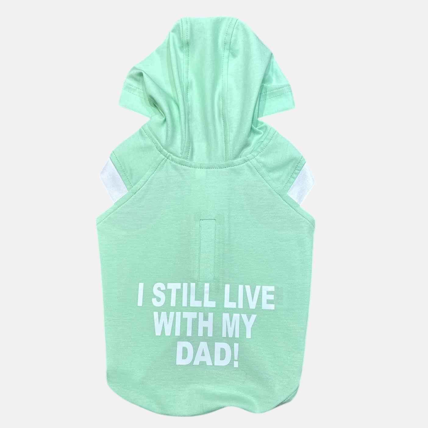 I Still Live With My DAD- Ocean Green Hoodie
