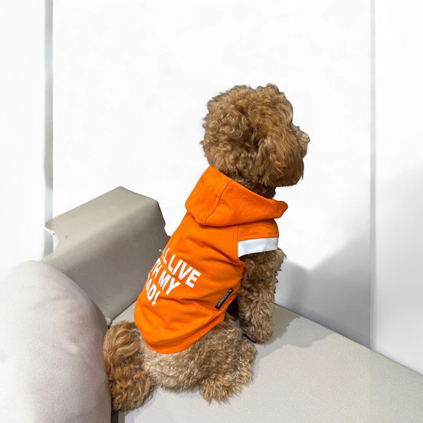 I Still Live With My DAD - Sunset Orange Hoodie